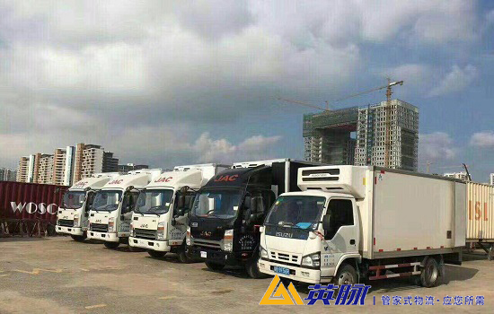  上海物流公司